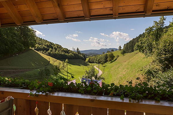 Wohnung Talblick