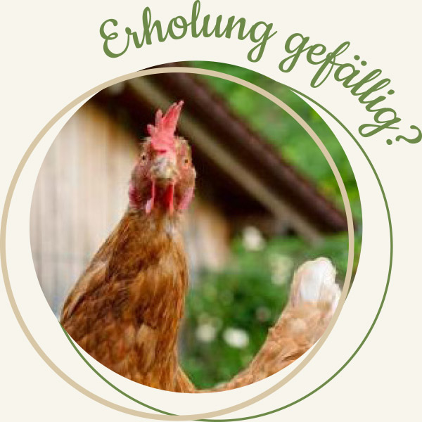 Huhn