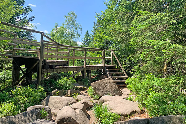 Lotharpfad an der Schwarzwaldhochstraße